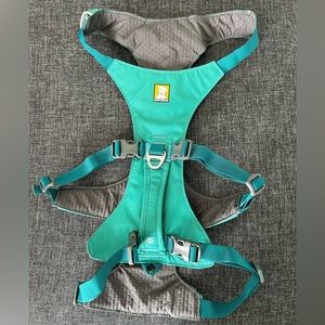 Ruffwear Meltwater Teal Flagline